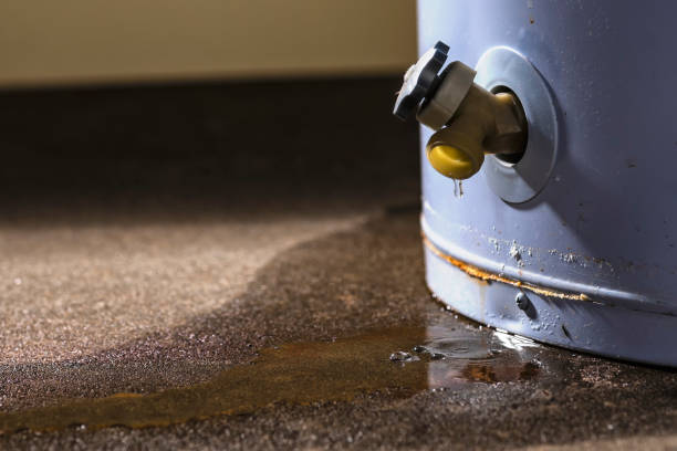 Best Water damage restoration process  in Bristol, IN