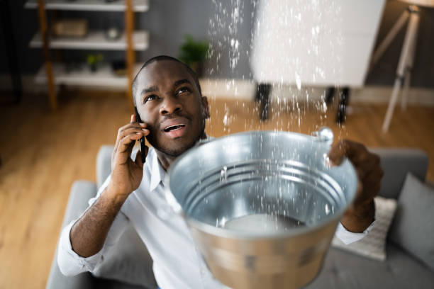 Best Water damage cleanup near me  in Bristol, IN