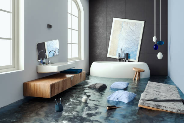 Best Carpet water damage restoration  in Bristol, IN