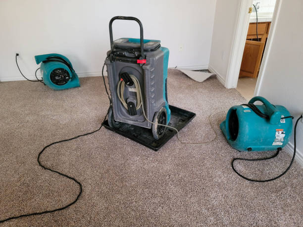 Trusted Bristol, IN Water damage restoration Experts