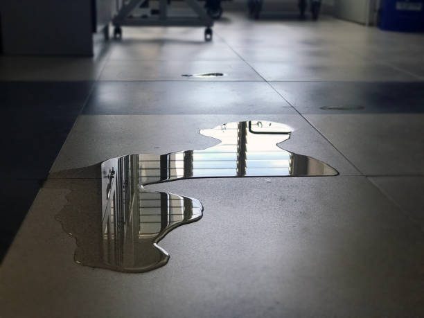 Best 24-hour water damage restoration  in Bristol, IN